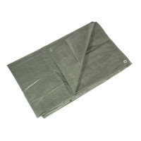 Тент Fortex поліпропіленовий захисний ламінований 4x6 м 90 г./м.кв зелений