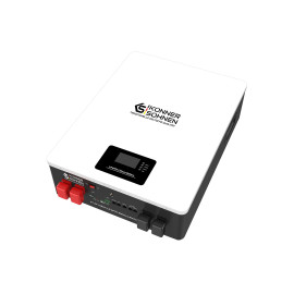 Акумуляторна батарея LiFePO₄ KS LB 48–100 - 1